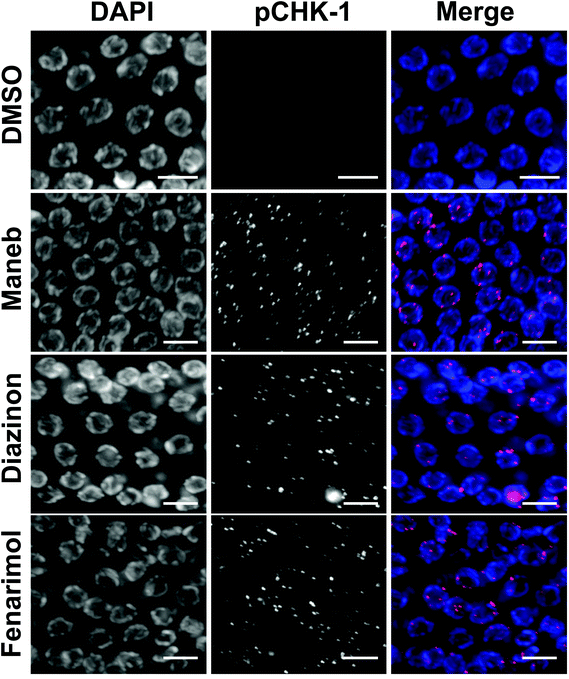 image file: c4tx00141a-f3.tif