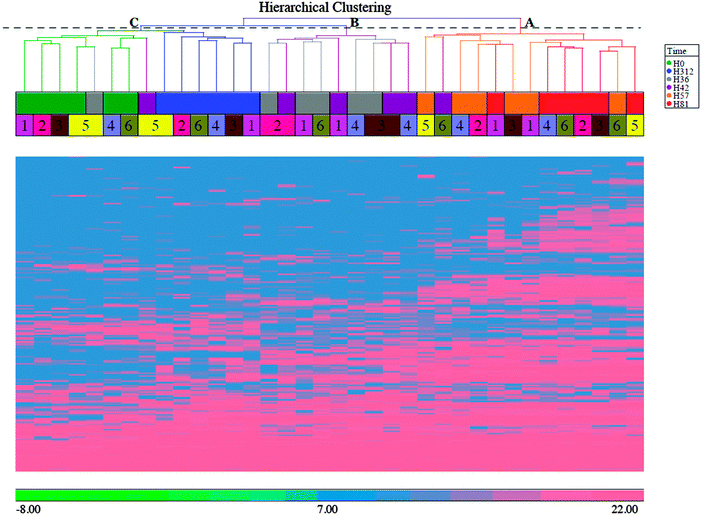 image file: c6mb00290k-f1.tif