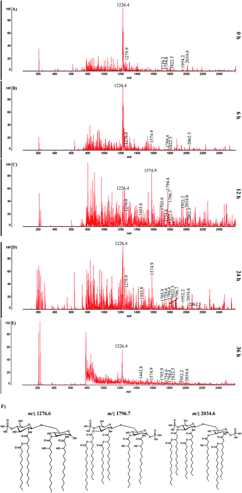 image file: c5ra18206a-f7.tif