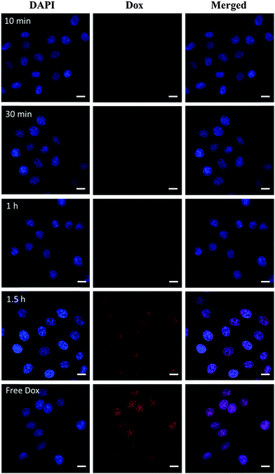 image file: c6qm00042h-f8.tif