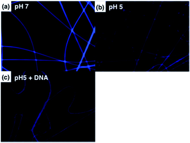 image file: c6ra26714a-f8.tif