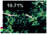 image file: c6ra27018b-u14.tif