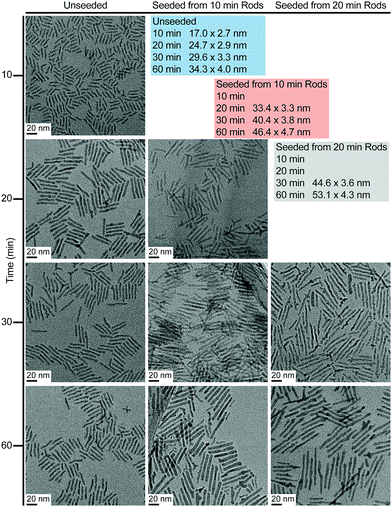 image file: c8qm00056e-f2.tif