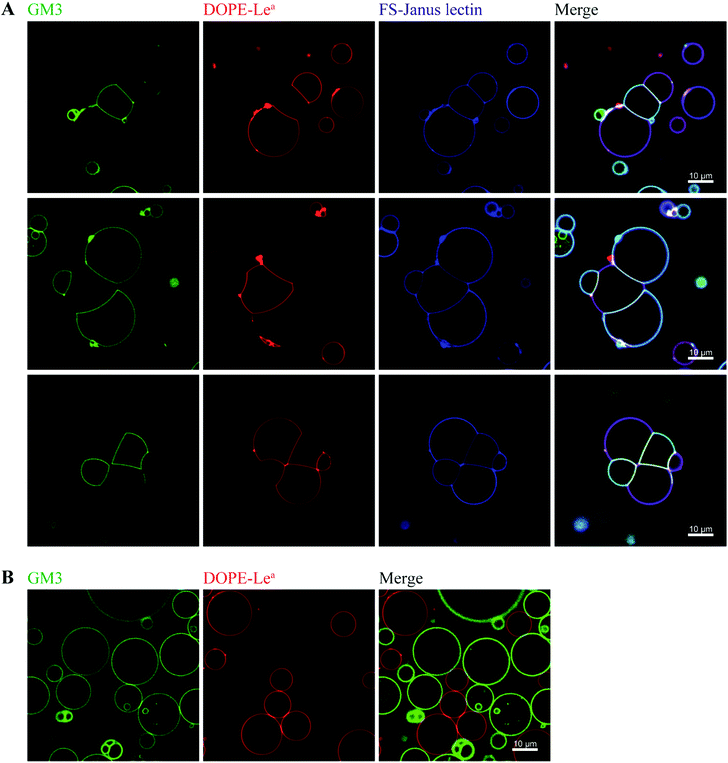 image file: c8sc02730g-f5.tif