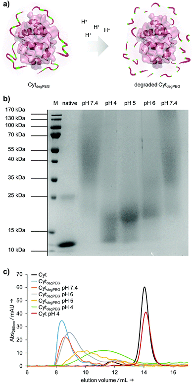 image file: c9py01162e-f4.tif