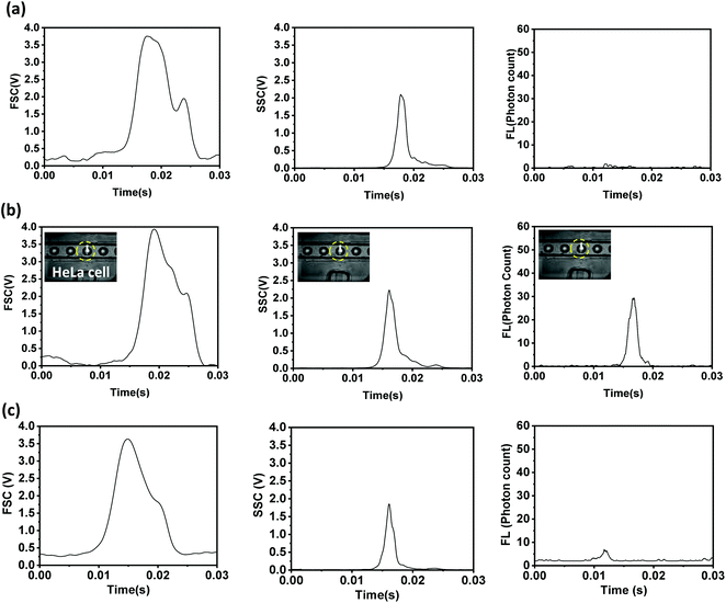 image file: d0an00160k-f3.tif