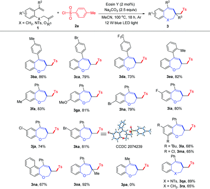 image file: d1qo00611h-u3.tif