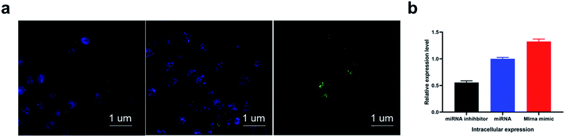 image file: d1ra00539a-f4.tif