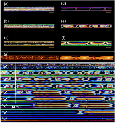 image file: d0sm02040k-f1.tif