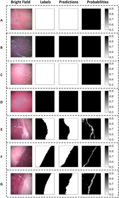 image file: d2an01946a-f6.tif