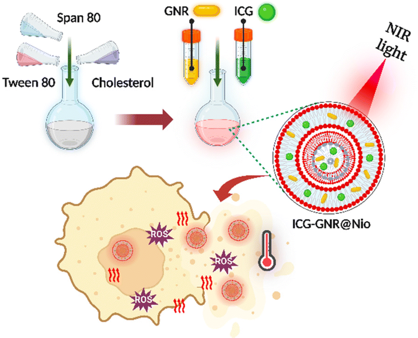 Near-infrared Light Activatable Niosomes Loaded With Indocyanine Green ...