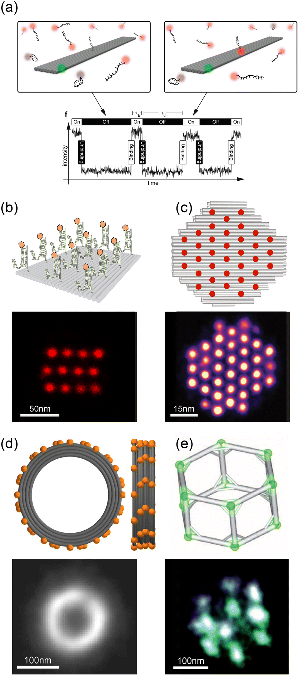 Labeling approaches for DNA-PAINT super-resolution imaging - Nanoscale ...