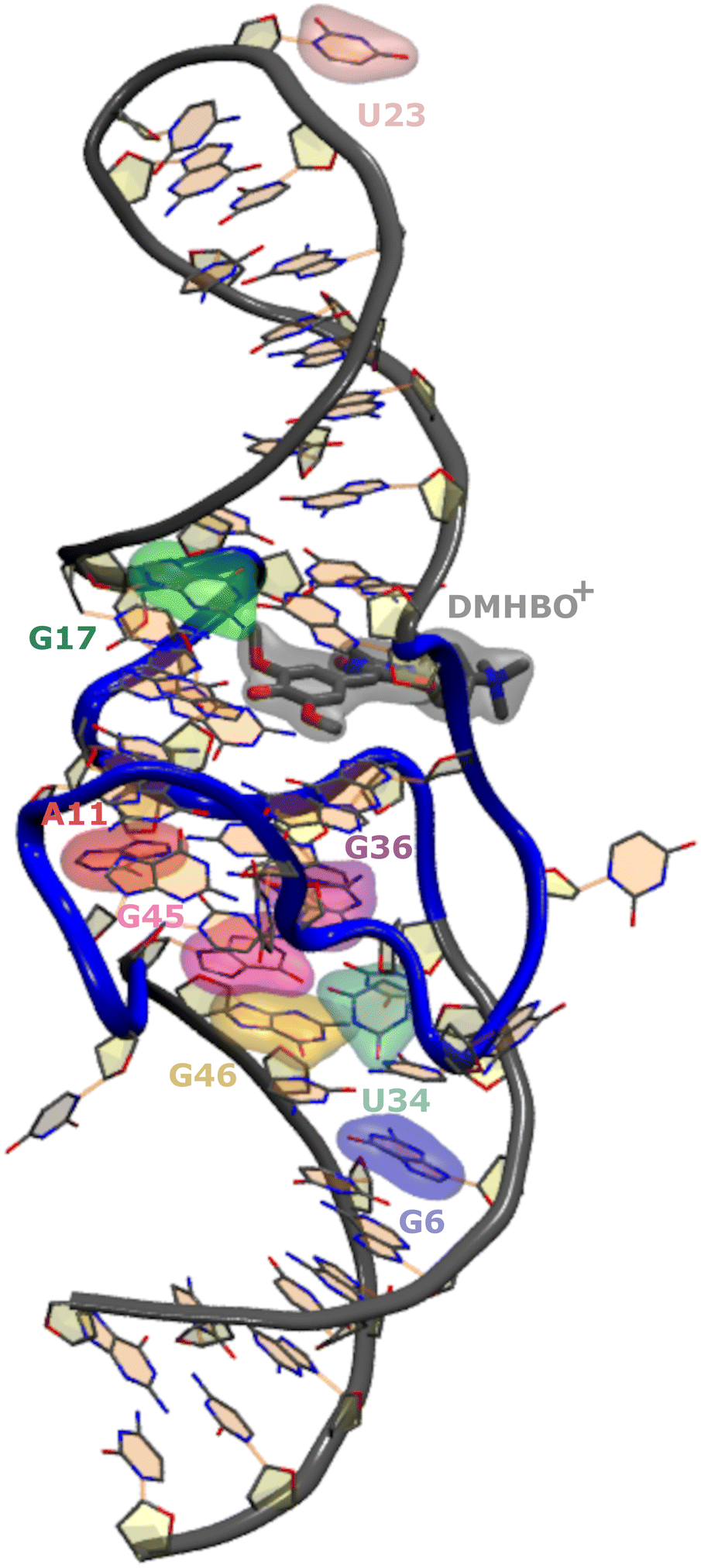 Conformational preferences of modified nucleobases in RNA aptamers and ...