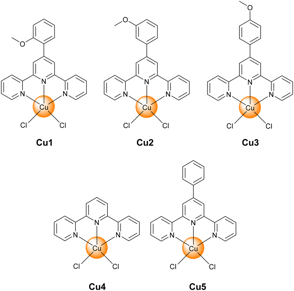 Highly cytotoxic Cu( ii ) terpyridine complexes as chemotherapeutic ...