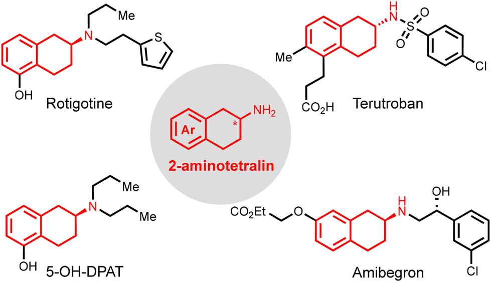 Chemoenzymatic total synthesis of rotigotine via IRED-catalyzed ...