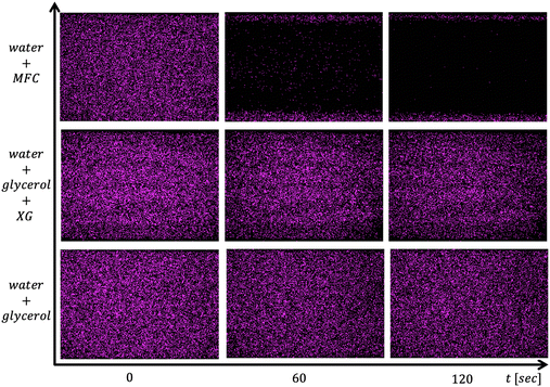 image file: d5sm00065c-f4.tif