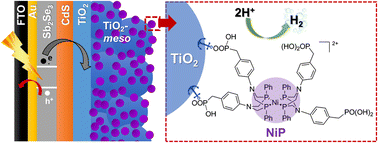 Graphical abstract: Hybrid photocathode based on a Ni molecular catalyst and Sb2Se3 for solar H2 production