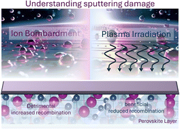 Graphical abstract: Origin of sputter damage during transparent conductive oxide deposition for semitransparent perovskite solar cells