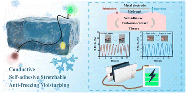 Graphical abstract: Multifunctional conductive hydrogels for wearable sensors and supercapacitors