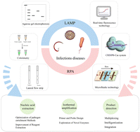 Graphical abstract: Recent developments in isothermal amplification technology for rapid detection of SARS-CoV-2