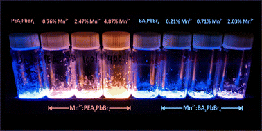 Graphical abstract: Interstitial and substitutional doping of Mn2+ in 2D PEA2PbBr4 and BA2PbBr4 perovskites