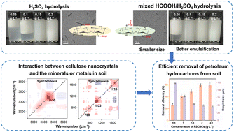 Graphical abstract: Promoted solubilization and desorption of petroleum hydrocarbons to remediate contaminated soils using Pickering emulsions stabilized by cellulose nanocrystals