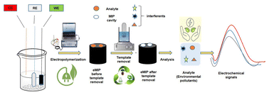 Graphical abstract: Advancing green chemistry in environmental monitoring: the role of electropolymerized molecularly imprinted polymer-based electrochemical sensors