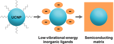 Graphical abstract: Enhanced upconversion and photoconductive nanocomposites of lanthanide-doped nanoparticles functionalized with low-vibrational-energy inorganic ligands