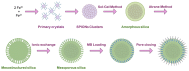 Graphical abstract: A rapid synthesis of magnetic-core mesoporous silica-shell nanostructures – as potential theranostic agents – by means of microwave irradiation and the atrane method
