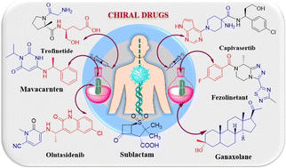 Graphical abstract: The significance of chirality in contemporary drug discovery-a mini review