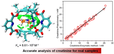 Graphical abstract: An endo-functionalized molecular cage for selective potentiometric determination of creatinine