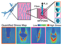 Graphical abstract: Visualizing fiber end geometry effects on stress distribution in composites using mechanophores