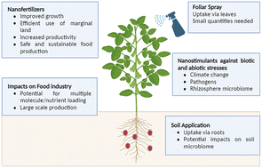 Graphical abstract: Nanostimulants and nanofertilizers for precision agriculture: transforming food production in the 21st century