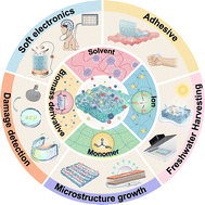 Graphical abstract: Toughening hydrogels with small molecules: tiny matter, big impact