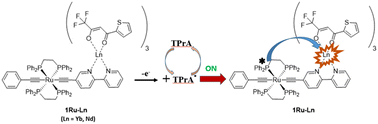 Graphical abstract: Strong NIR electrochemiluminescence from lanthanide ions sensitized with a carbon-rich ruthenium chelate