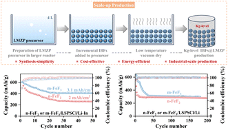 Graphical abstract: High performance sulfide all-solid-state batteries enabled by Li1.26Mg0.12Zr1.86(PO4)3 coating of iron fluoride cathodes