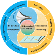 Graphical abstract: Self-sustained soft robots based on liquid crystal elastomers