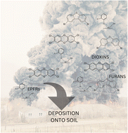 Graphical abstract: Soil contamination by environmentally persistent free radicals and dioxins following train derailment in East Palestine, OH