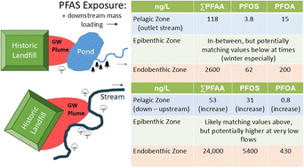 Graphical abstract: Per- and poly-fluoroalkyl substances (PFAS) contamination of surface waters by historic landfills via groundwater plumes: ecosystem exposure and downstream mass loading