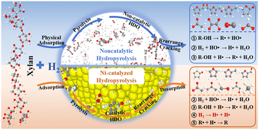 Graphical abstract: Investigation of Ni-catalyzed hydropyrolysis of hemicellulose via ReaxFF-MD simulation