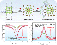 Graphical abstract: Greatly enhanced ultrafast optical absorption nonlinearities of pyridyl perovskite nanocrystals axially modified by star-shaped porphyrins