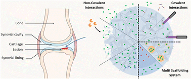 Graphical abstract: Control and interplay of scaffold–biomolecule interactions applied to cartilage tissue engineering