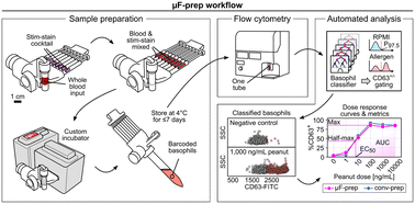 Graphical abstract: A hand-operated microfluidic sample preparation-to-analysis workflow for simplifying the basophil activation test