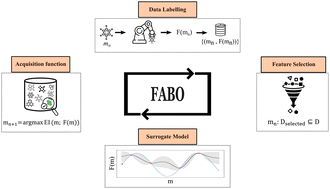 Graphical abstract: Adaptive representation of molecules and materials in Bayesian optimization