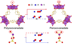 Graphical abstract: A theoretical study on the formation mechanism of peroxovanadate and the origin of its high activity for oxidation of sulfide