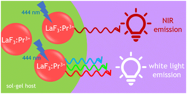 Graphical abstract: White light and near-infrared emissions of Pr3+ ions in SiO2-LaF3 sol–gel nano-glass-ceramics