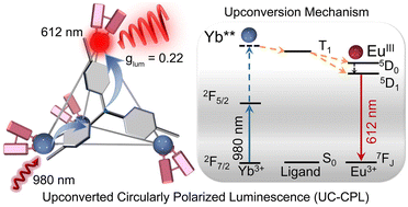 Graphical abstract: Strong upconverted circularly polarized emission from a chiral tetrahedral Yb/Eu cage