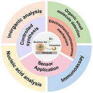 Graphical abstract: Electrochemiluminescence of quantum dots: synthesis, mechanisms and Sensor application