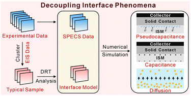 Graphical abstract: Inhibitions imposed by kinetic constraints of membranes in all-solid-state ion-selective electrodes: characteristics of interfacial capacitance in solid contacts