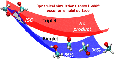 Graphical abstract: Dynamics of hydrogen shift reactions between peroxy radicals